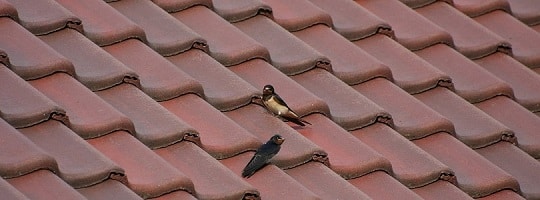 Takstein tips kjopeguide featured